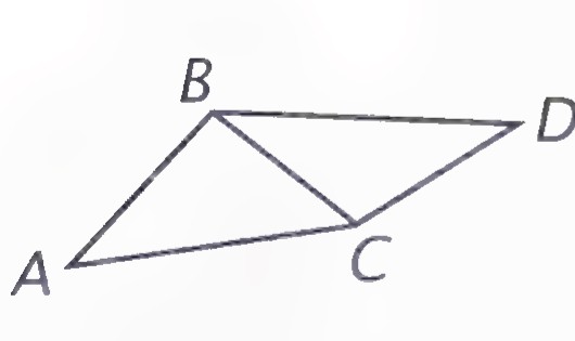Two triangles ABC and BDC sharing side BC and folded along it like a card.
