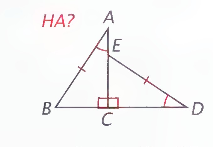 Triangle ABD with AC drawn perpendicular to BD at C and E on AC; AB and DE are marked equal, as are angles A and D and legs BC and CD.