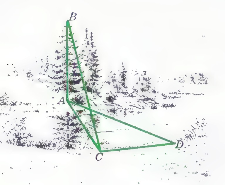 An old engraved illustration of a tree on the far bank of a river, with the measuring lines AB, AC, CD overlaid on the landscape.