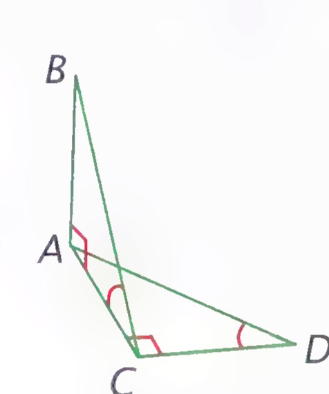 The measuring diagram: tree AB on the far bank, right triangle ACD on the near bank with the angles at B, C, and D marked.