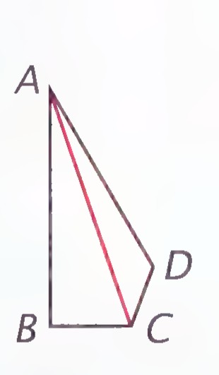 A quadrilateral ABCD with the diagonal AC drawn.