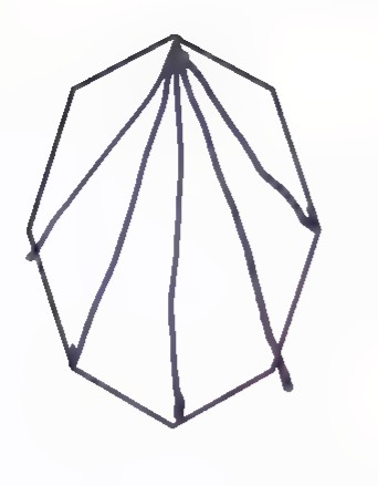 An octagon with all the diagonals from one vertex drawn.