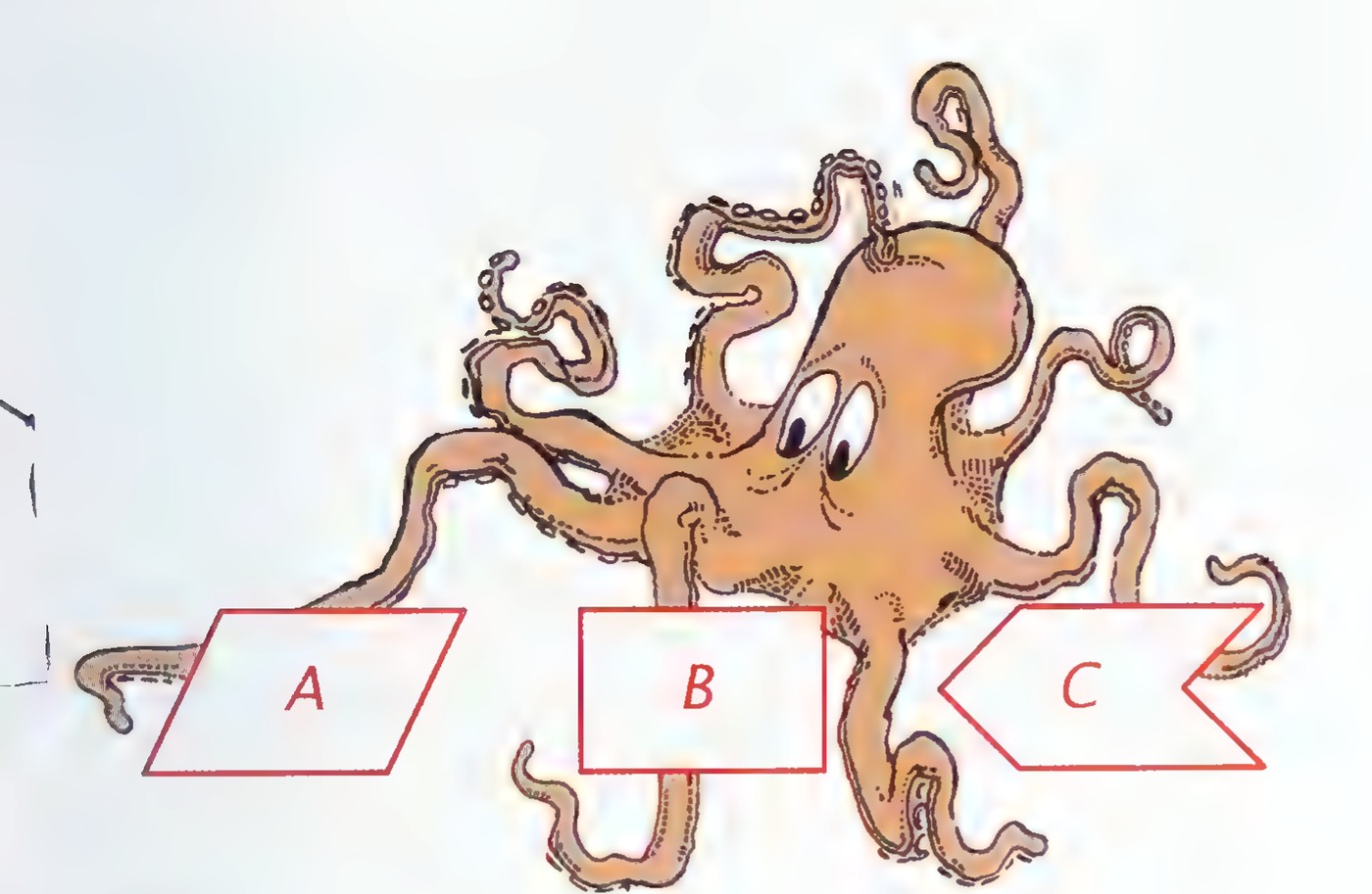 A drawing of an orange octopus with three red-outlined shapes in front of it: A a parallelogram, B a rectangle, and C a concave hexagon.