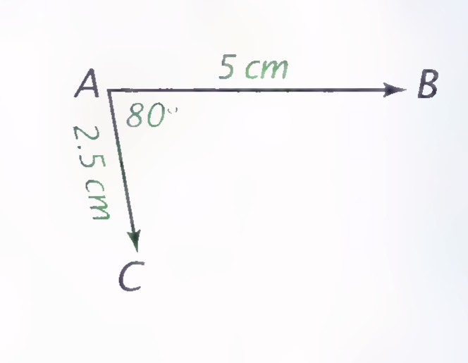 Two arrows from A: AB horizontal, 5 cm long, and AC at 80° from it, 2.5 cm long.