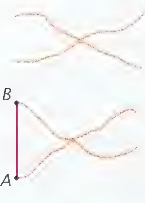 Two photographs: first two ropes crossing and tied at their midpoints, then the same ropes with a red stick AB joining two of their ends.