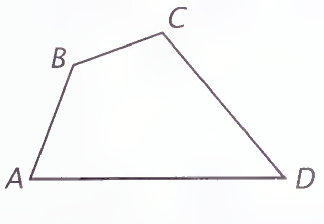A quadrilateral ABCD, with side BC much shorter than AD, drawn without any markings.