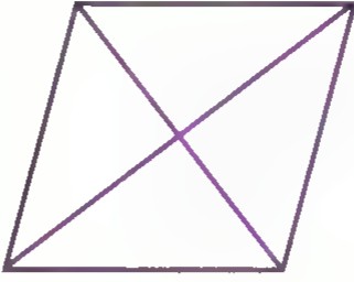 A rhombus leaning to the right, with both diagonals drawn.