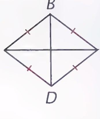 A rhombus ABCD with both diagonals drawn and tick marks on the four sides.