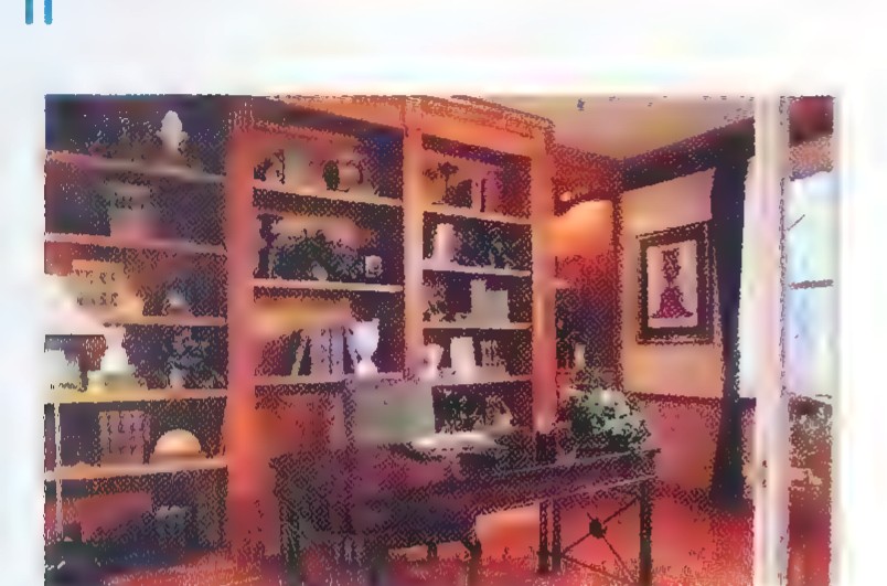 Photograph of a home study with floor-to-ceiling bookshelves and a desk.