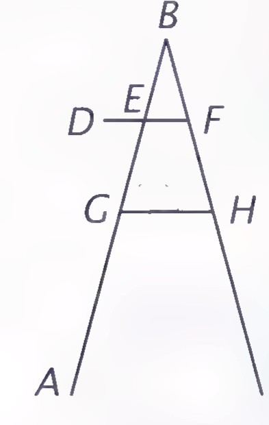 A side view of the open ladder: the legs AC and the shelf DF and brace GH drawn as horizontal segments.