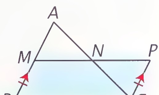 The same figure with the parallelogram BCPM shaded blue.