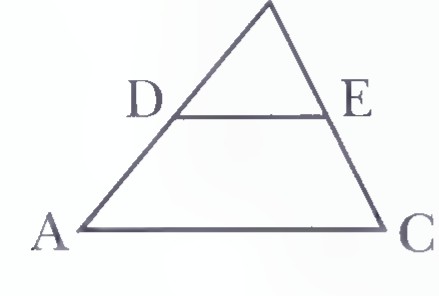 Triangle ABC with segment DE joining the midpoints of AB and BC.