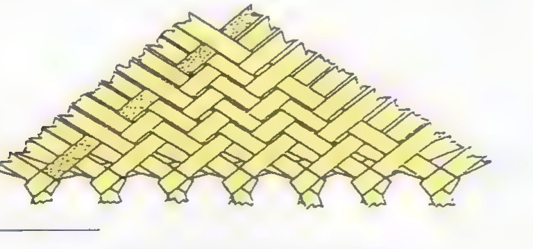 A woven mat of pale palm strips, the strands crossing at a shallow angle to form a pattern of rhombuses.