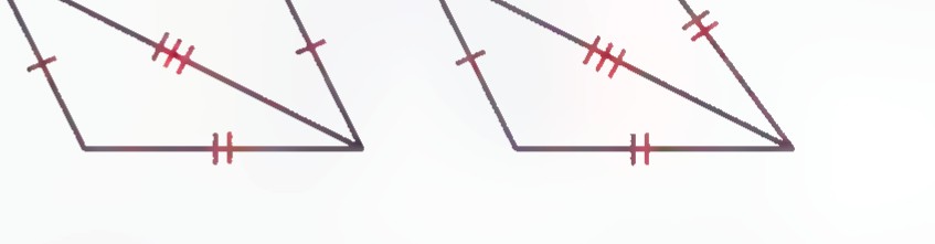 Two quadrilaterals with a diagonal drawn in each and matching tick marks on their sides.