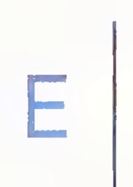 A capital E beside a vertical mirror line.