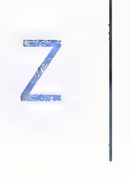 A capital Z beside a vertical mirror line.