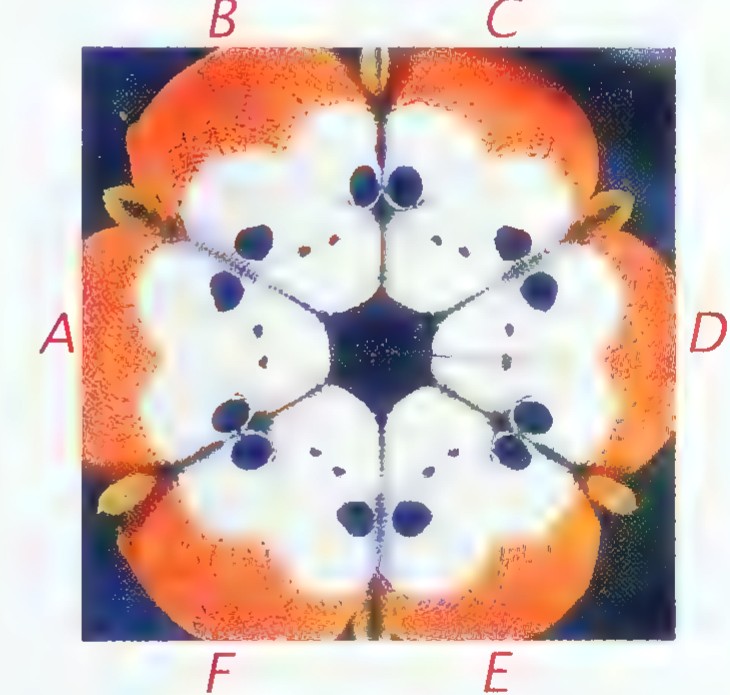 Six images of a toy monkey’s face arranged in a ring and labelled A through F, with A at the left.