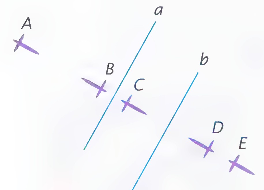 Five small bird silhouettes labelled A through E scattered on either side of two parallel slanted lines a and b.