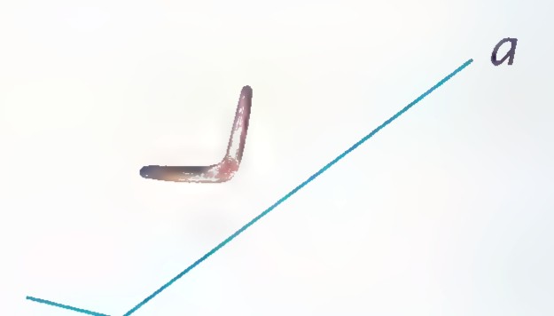 A boomerang at the upper left of two crossing lines a and b.