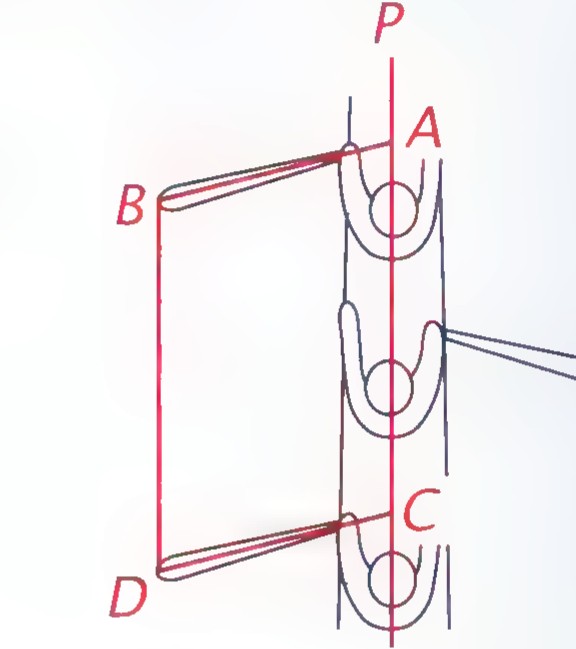 Top view of a rowing shell with points A and C on one side, B and D on the other, and a vertical line P through the oarlocks.