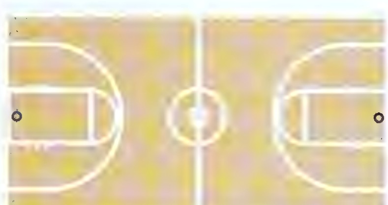 Overhead view of a basketball court with a center circle and a basket at each end.