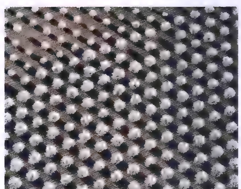 Aerial view of a cherry orchard in which the trees are planted in a regular triangular grid.