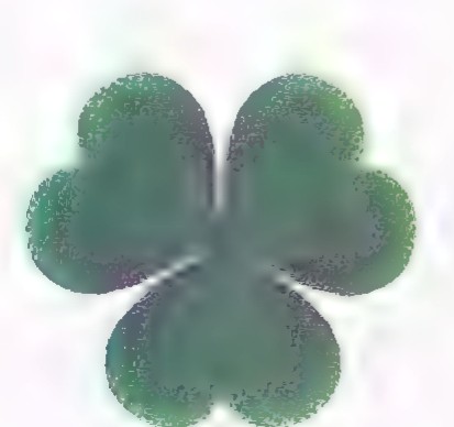 Photograph of a dark green clover leaf with three leaflets.