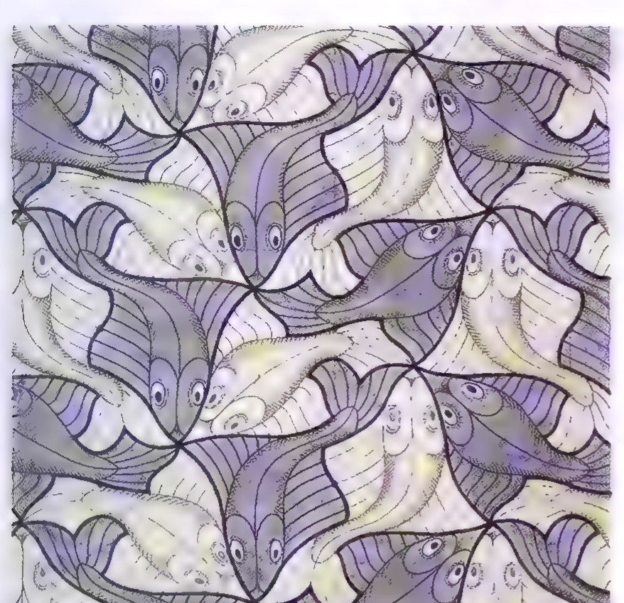 Escher tessellation of pale and dark fish, each fish fitting against its neighbours.