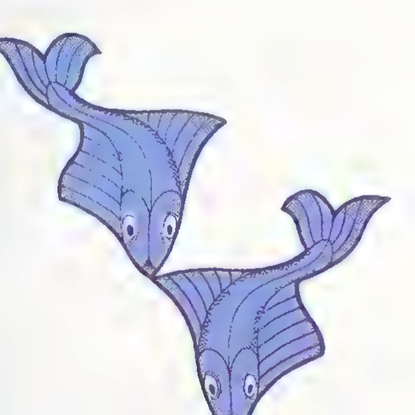 Two blue fish, one above the other and facing opposite directions.