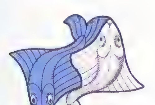 A single blue-and-white fish with its tail at the upper right.