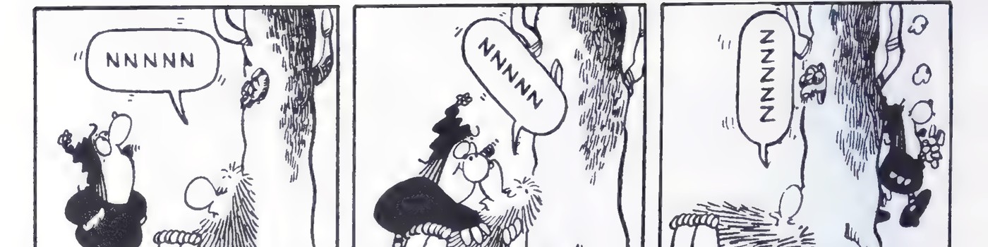 Three-panel cartoon about a man who teaches a horse to say “NNNNN”; in the last panel the horse hangs upside down from a tree and says “ZZZZ.”