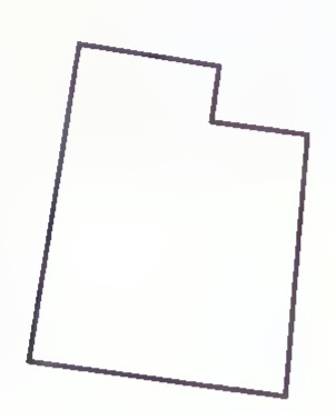 An irregular polygon drawn as an outline.