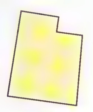 The same irregular polygon with its interior shaded.