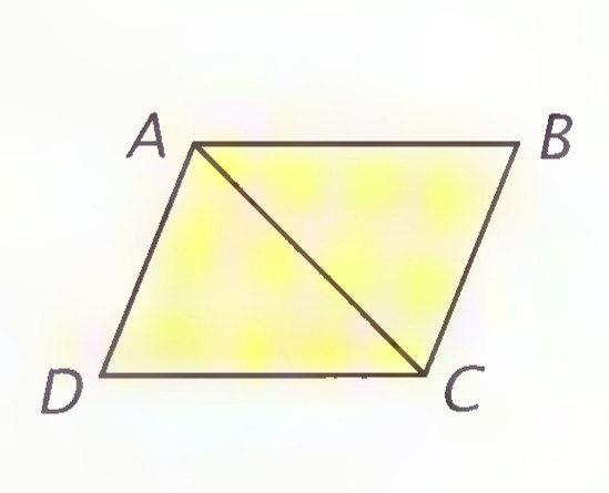 Parallelogram ABCD with diagonal AC drawn, its two triangles shaded.