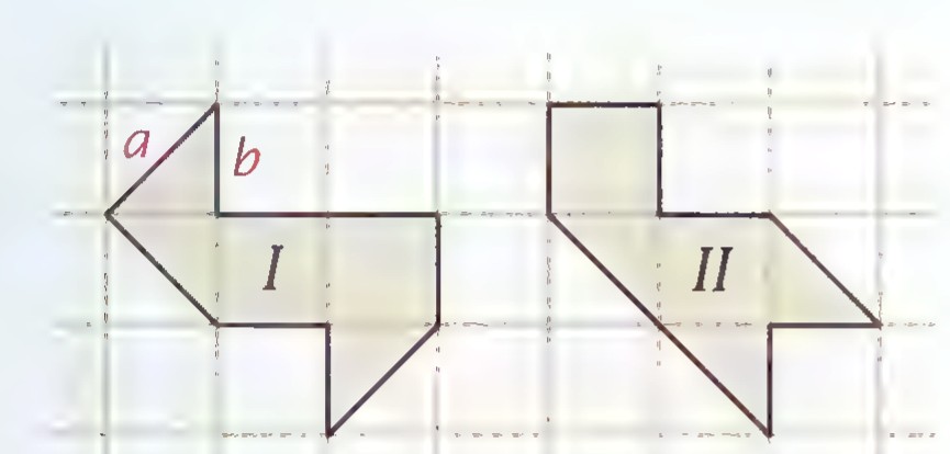 Two many-sided polygons labeled I and II drawn on a square grid, with two short sides at the upper left of each labeled a and b.