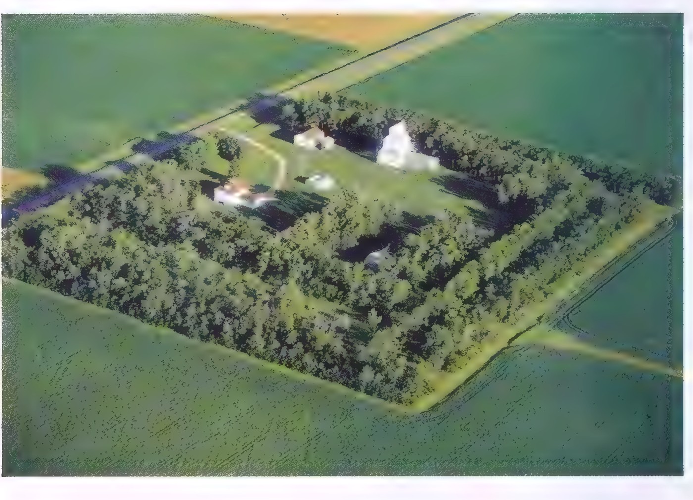 Aerial photograph of a homestead on a square lot in North Dakota, surrounded by farmland and a windbreak of trees.