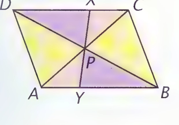 Parallelogram ABCD with its diagonals intersecting at P and a line through P meeting the sides at X and Y, the four triangular regions colored yellow and violet alternately.