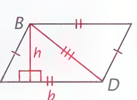 The same parallelogram with diagonal BD drawn and matching tick marks on its sides.
