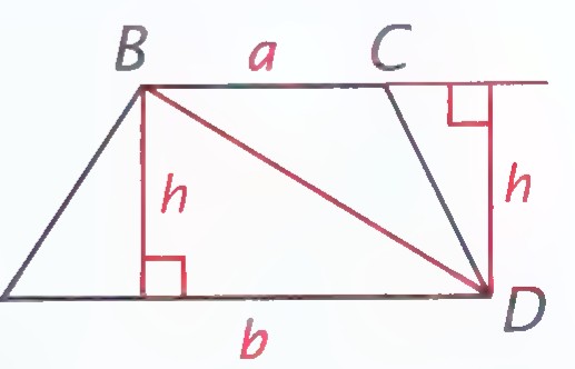 The same trapezoid with diagonal BD drawn and altitudes h marked in both triangles.