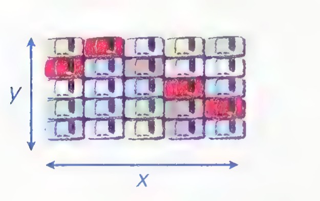 A rectangular block of parked cars with arrows marking its width y and length x.