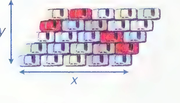 A slanted block of parked cars with arrows marking its width y and length x.