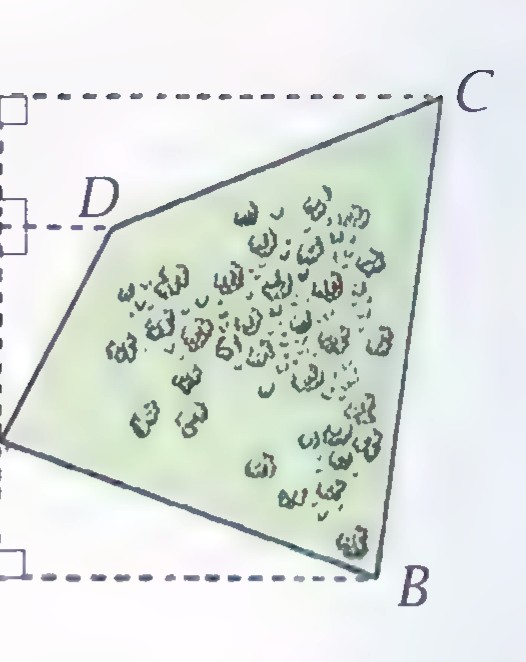 A field ABCD enclosed in a dotted rectangle whose corners are labeled E, F, G, with the field’s vertices touching the rectangle’s sides.