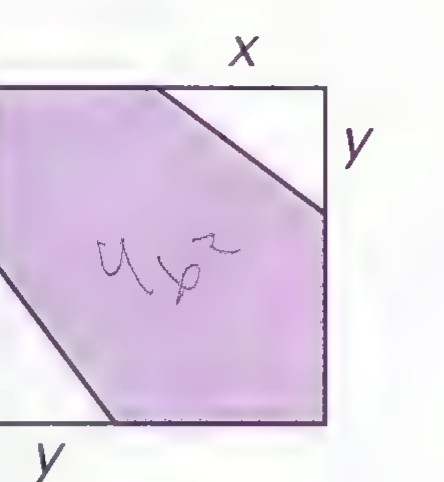 A square divided into four regions by two slanted lines, with a purple region in the center and corners labeled x and y.