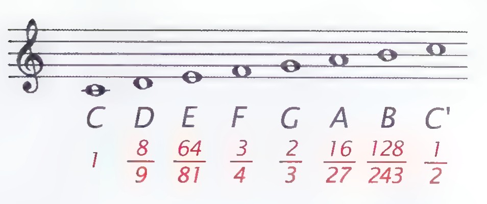 A musical staff with the notes C, D, E, F, G, A, B, C′ marked, and beneath them the string lengths 1, 8/9, 64/81, 3/4, 2/3, 16/27, 128/243, and 1/2.