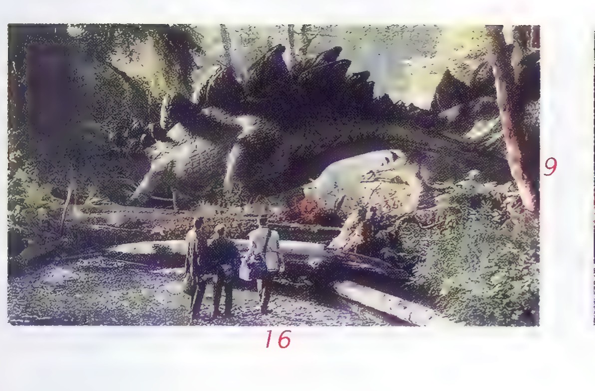 A wide film frame of a dinosaur in a jungle clearing, with the dimensions 16 and 9 marked along its sides.