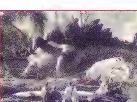 A small version of the film frame with its sides cropped off.