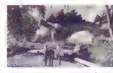 A tiny version of the whole film frame.