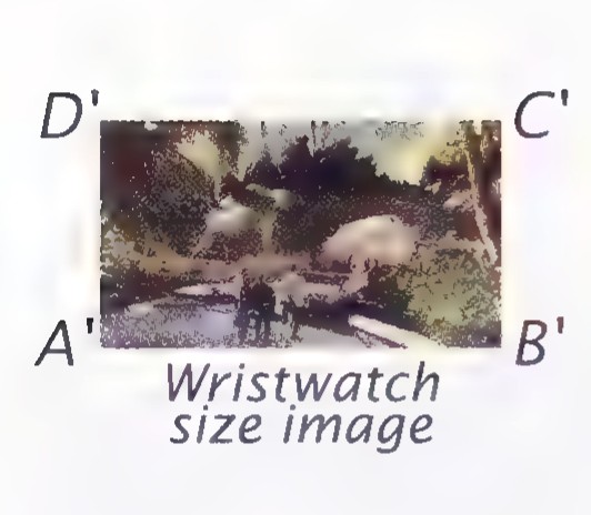 The one-third-scale image of the dinosaur frame with its corners labeled A′, B′, C′, and D′.