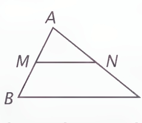 Triangle ABC with midsegment MN joining the midpoints of AB and AC.
