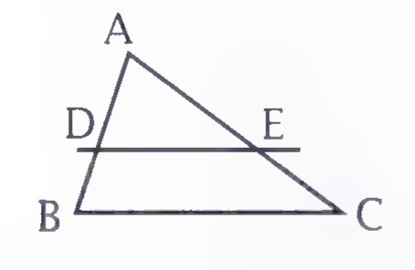 Triangle ABC with DE parallel to BC, labeled as in the Turkish text.